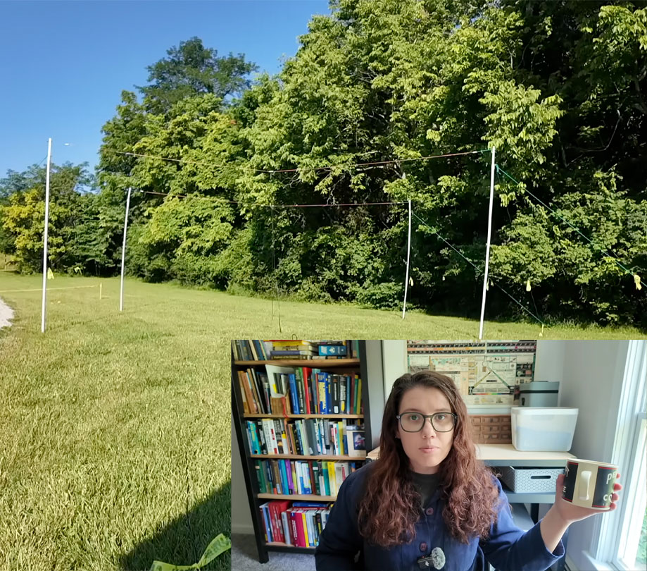 Backyard radio telescope