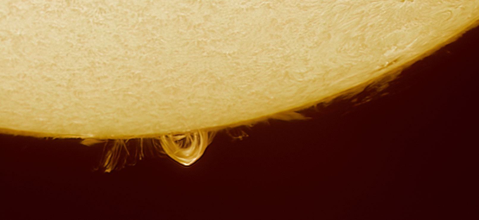 Figure 6 Detailed view of sun in H a image by J Thompson