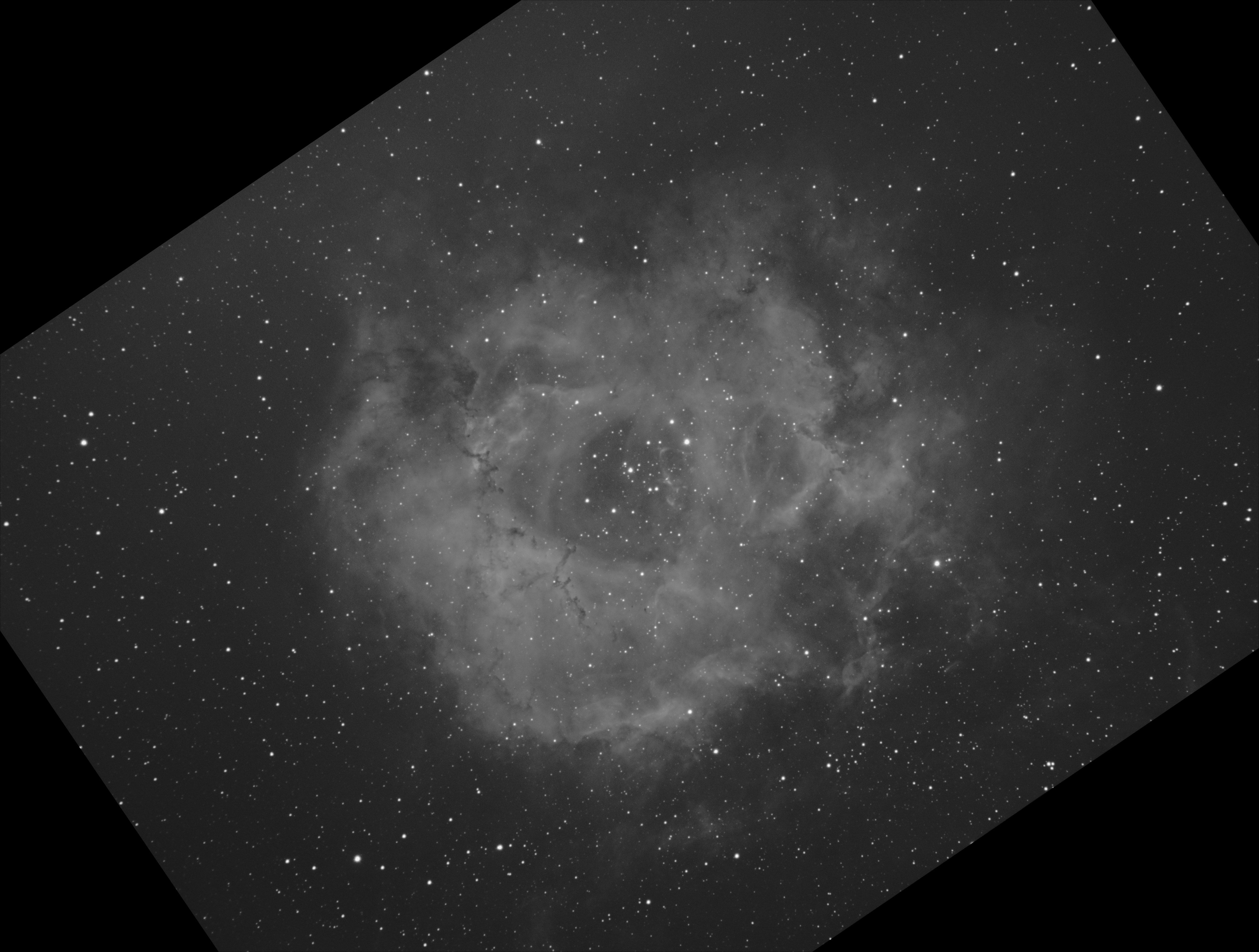 Rosette nebula in Ha