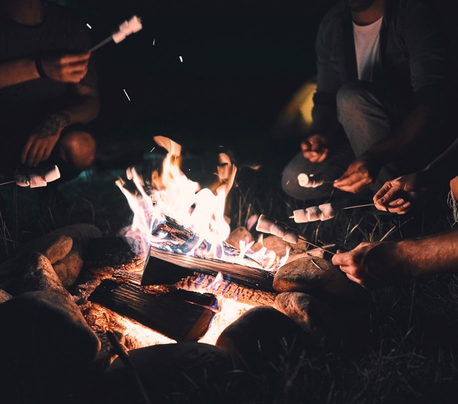 Meteors-and-smores-at-Holland-State-Park