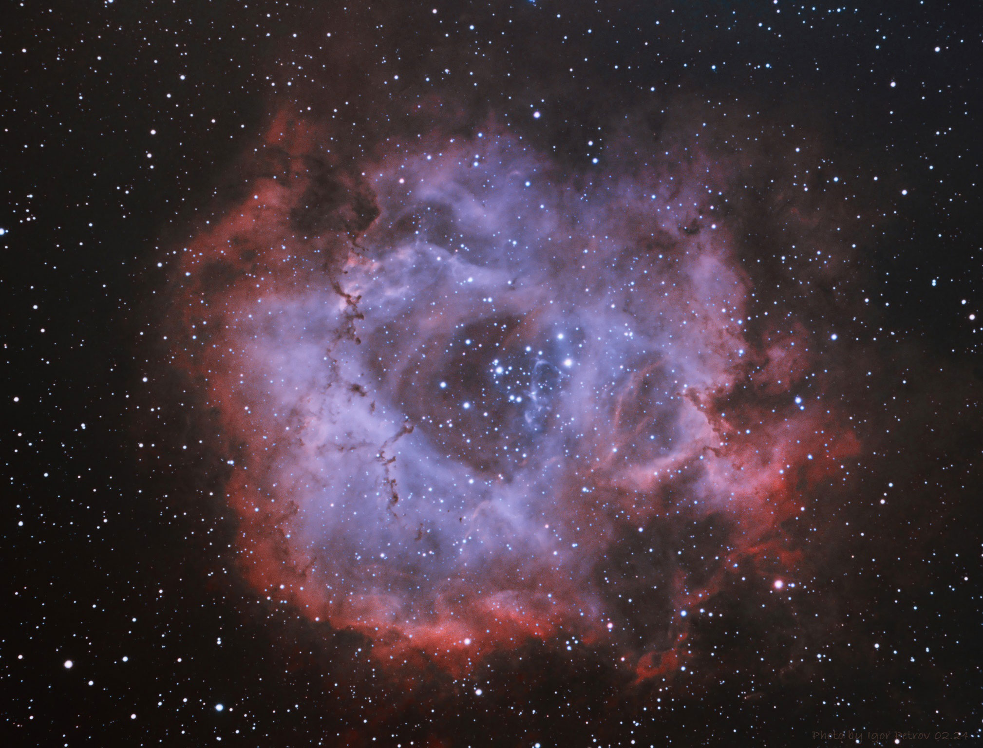 Complete NGC2237 using the DIY mount and APO 80mm