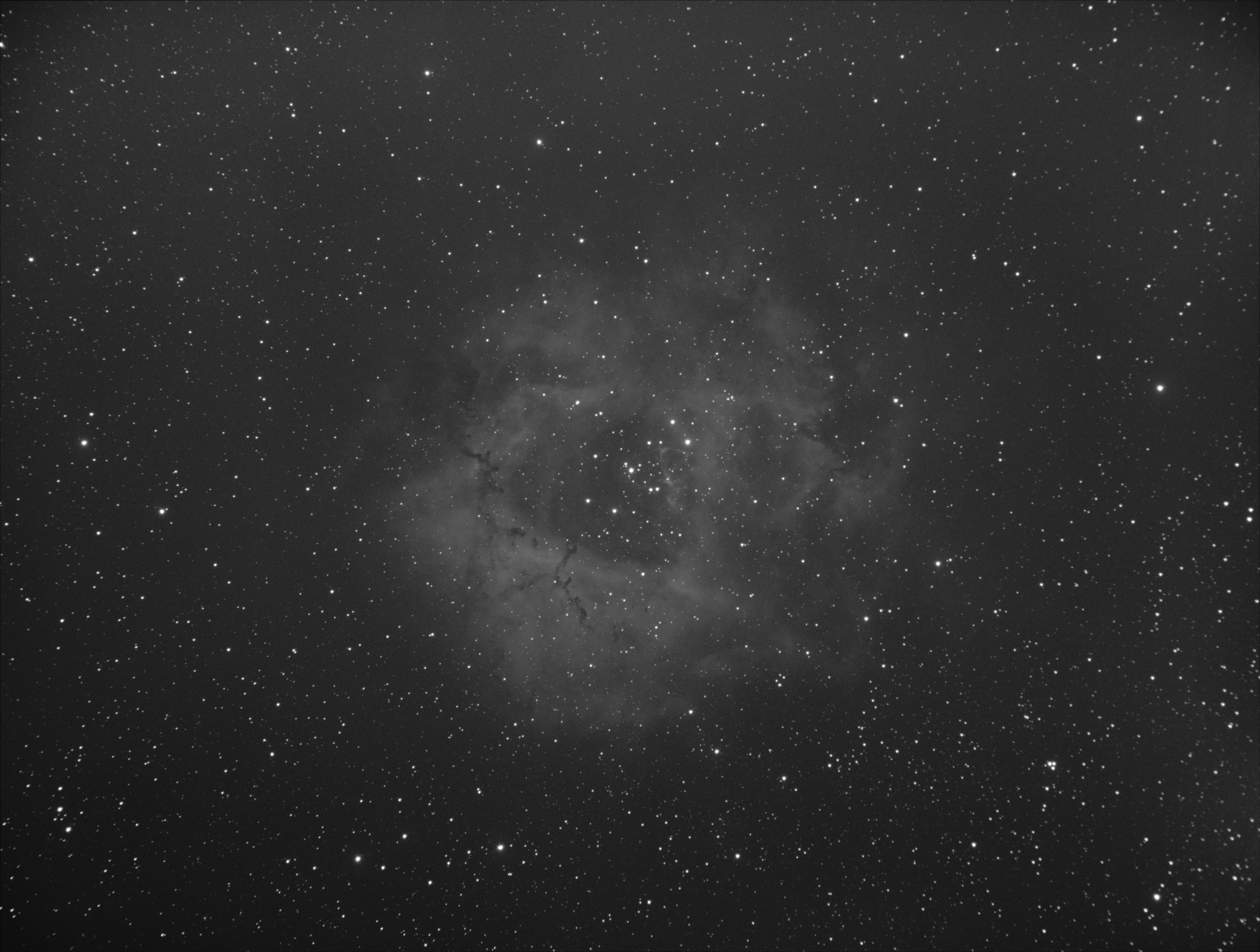Astrophoto of the Rosette nebula in OIII using the mount