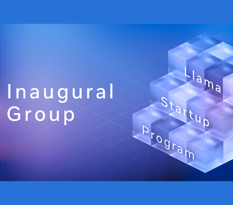 The Llama Startup Program cohort The Llama Startup Program cohort