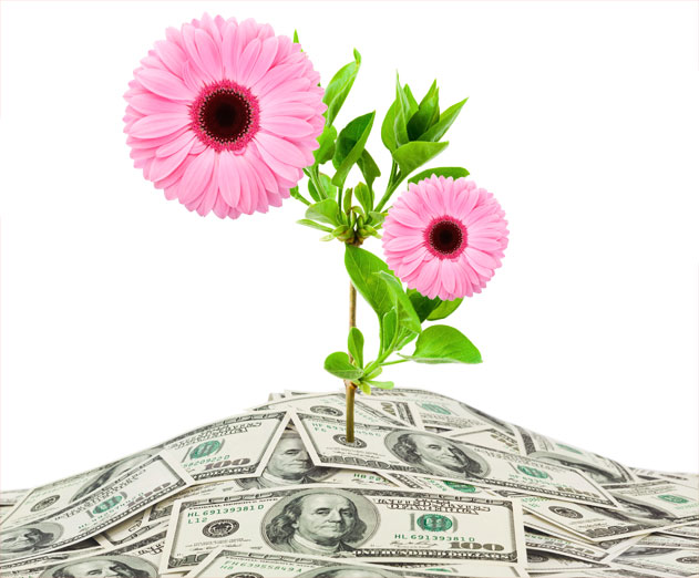 Spring-Into-Profit-–-The-Four-Money-Making-Models-for-Your-Apps-to-Bloom
