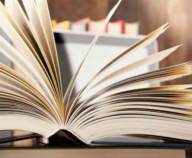 Agile Innovation: Crossing the Wetware Chasm for Business Transformation