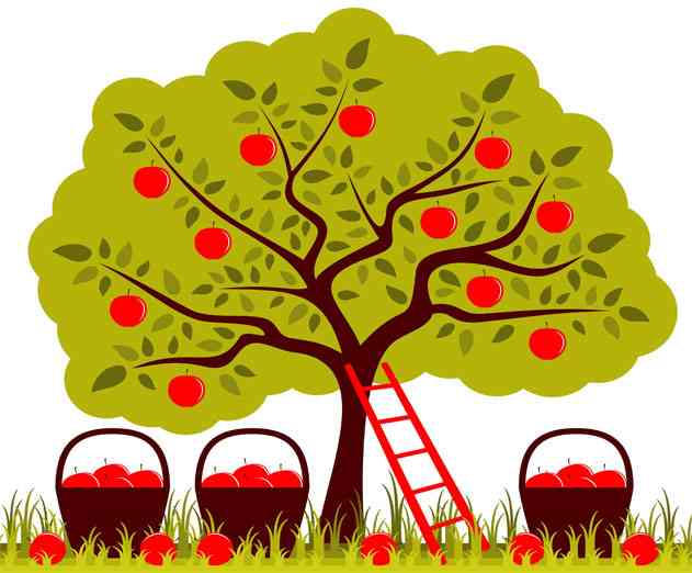 Release of Xcode 6.2 beta 4, iOS 8.2 SDK with WatchKit in January 