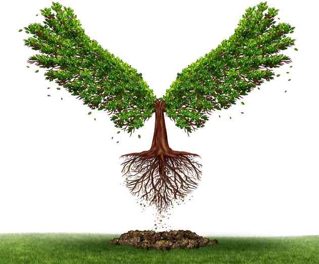 How to Turn Your Mobile App into a Scalable Business