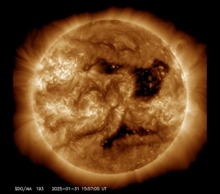Auroras incoming from massive solar coronal holes