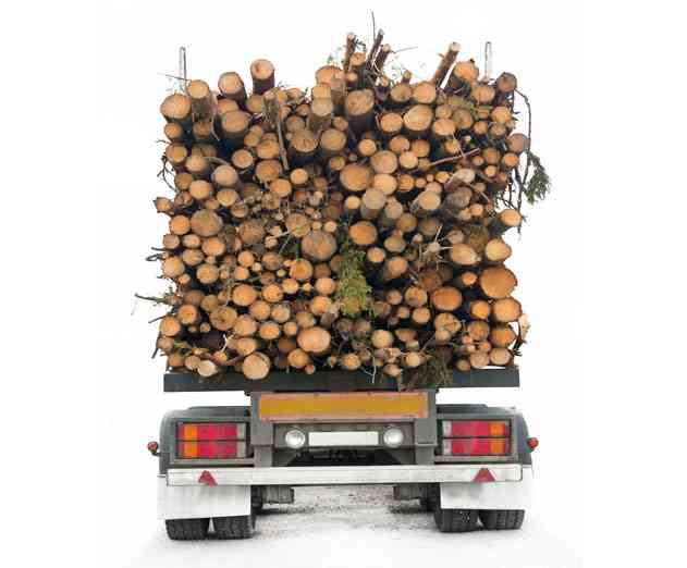 Got a Backlog of Apps to Build Avoid Boiling the Ocean!