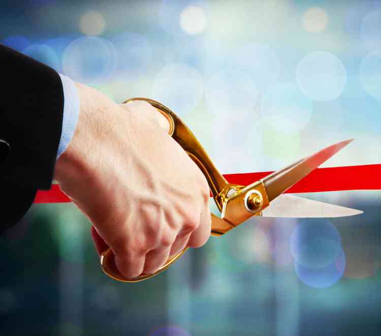 Best month for unicorn businesses in America