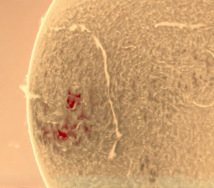 Best solar cameras for F7 telescopes