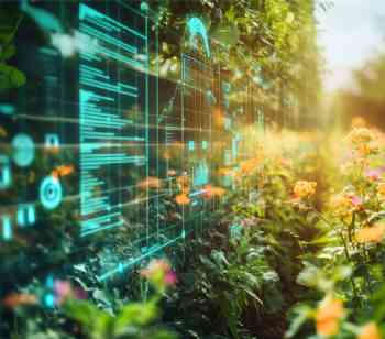 Big Sky Digital development platform launches in Montana