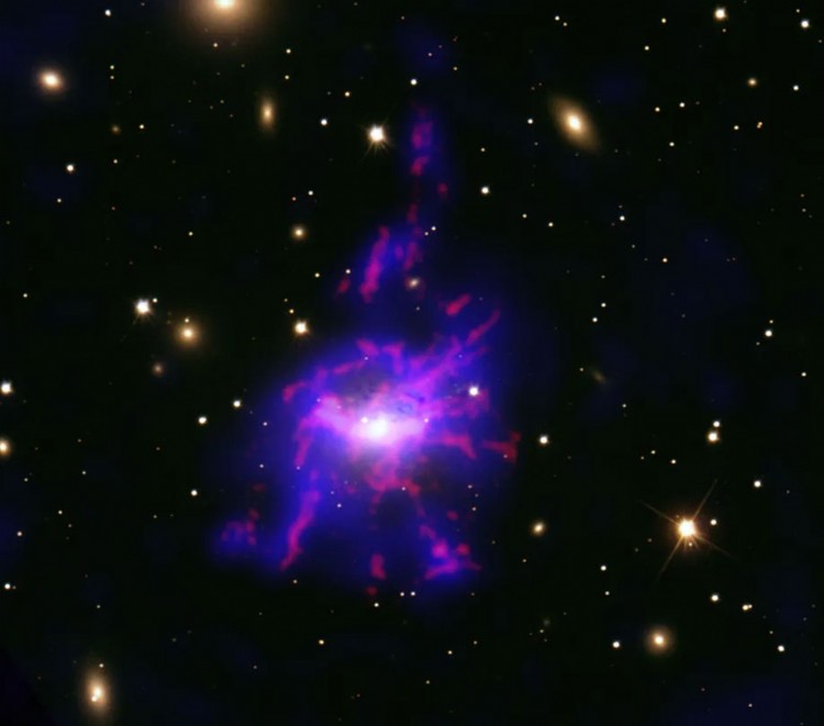 Black Holes can cook for themselves Chandra study shows