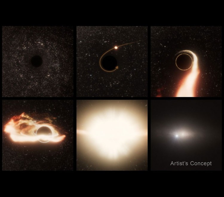 Black hole moving spotted by Hubble