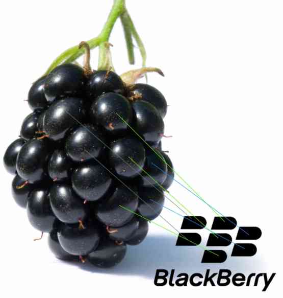App Developers Shouldnt Hammer Nails in BlackBerrys Coffin Just Yet!