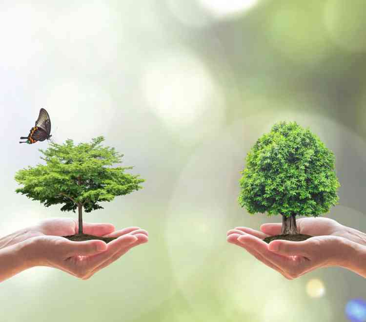 Blockchain platform aims to avoid environmental destruction