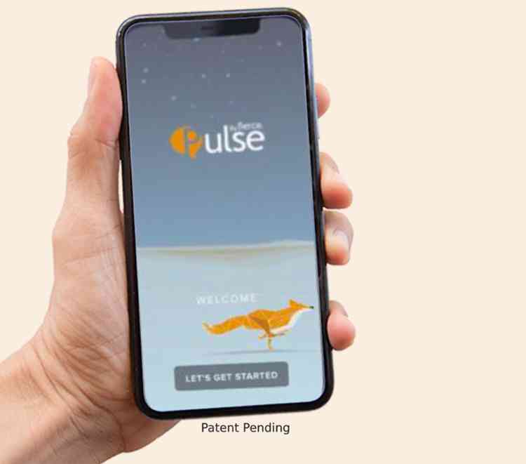 Building mentally fit workforces with Pulse