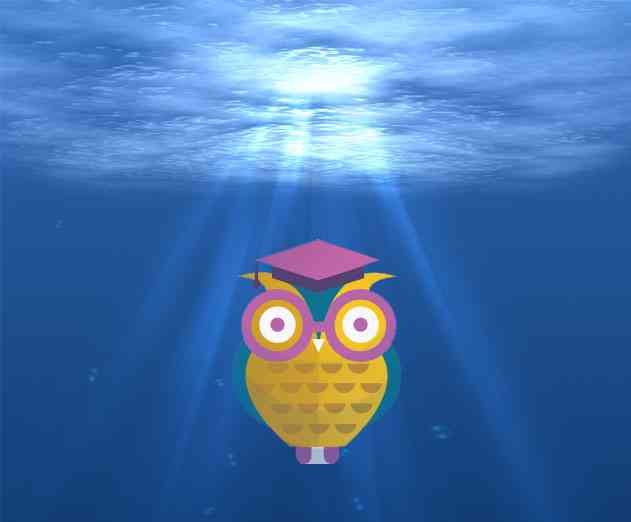 A Deep Dive into Network Functions Virtualization and SoftwareDefined Networking