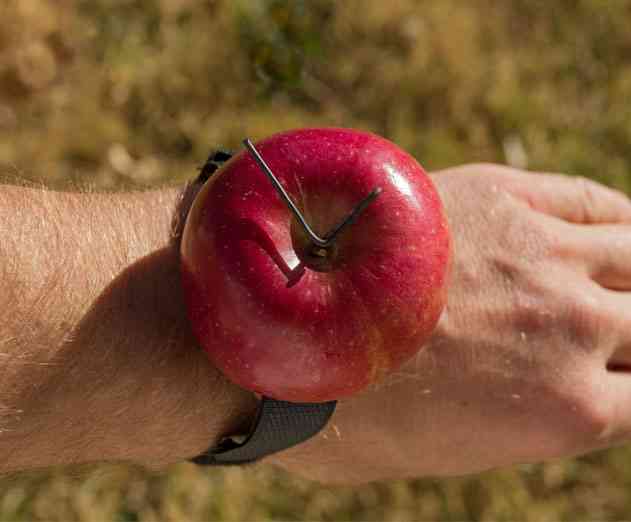 Call for iOS App Developers Who Are Launching Functionality for Apple Watch