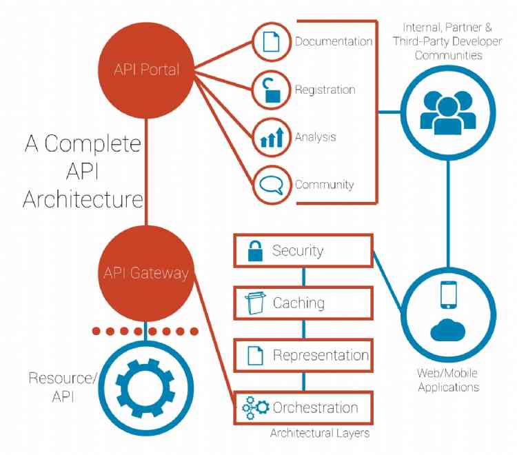 What You Need to Know About APIs to Build Mobile Applications