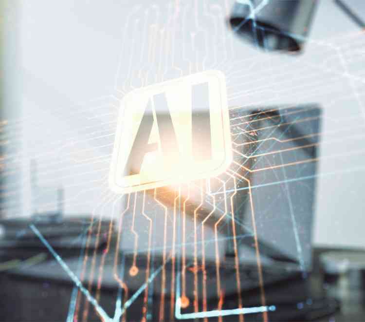 Custom Networks division created by Lumen