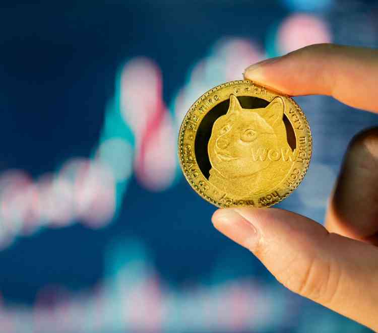 Dogecoin searches skyrocket after Twitter logo change