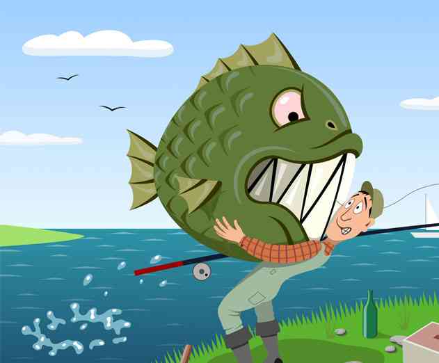 FishVerify app can help fishermen instantly identify their catch