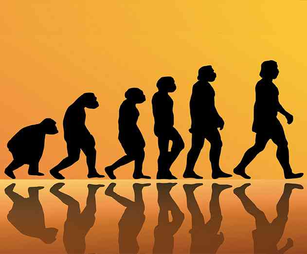 Customer experience is becoming critical and needs revamped