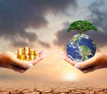 Green Grants Program results revealed by Filecoin Green