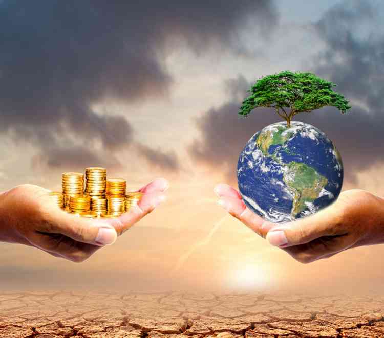 Green Grants Program results revealed by Filecoin Green