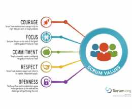 How Do I Build an Agile Organization  Part 3