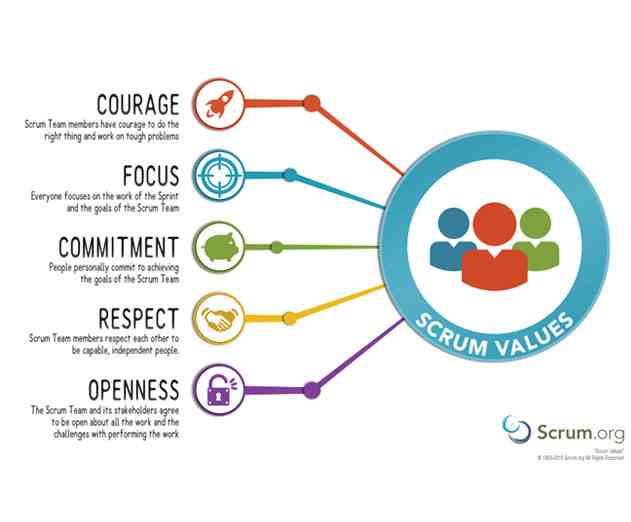 How Do I Build an Agile Organization  Part 3