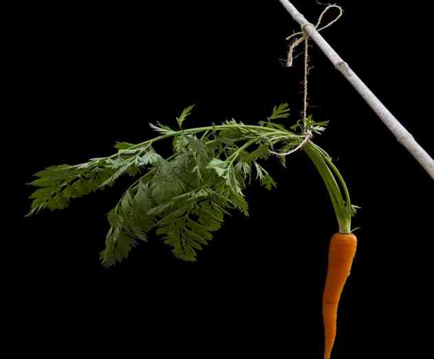 The End of Incentivized App Downloads Will Bring New Opportunities to Indie App Developers