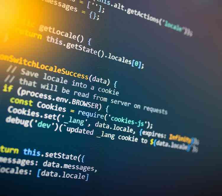 The top programming languages used in enterprise development are...