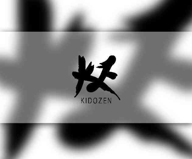 KidoZens Latest Addition: Data Visualization to Enterprise Mobile App Platform