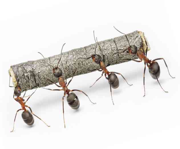 Orasi Extends Expertise to Konys CrossPlatform Enterprise Mobile Solutions