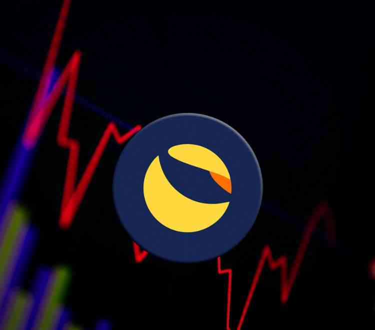 LUNA investors show fighting spirit