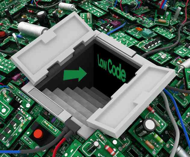 Creating a delegated development program using low code software