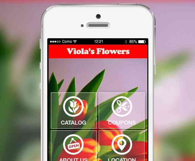 Make Your App a Hit: a Three Part Checklist for Mobile Developers
