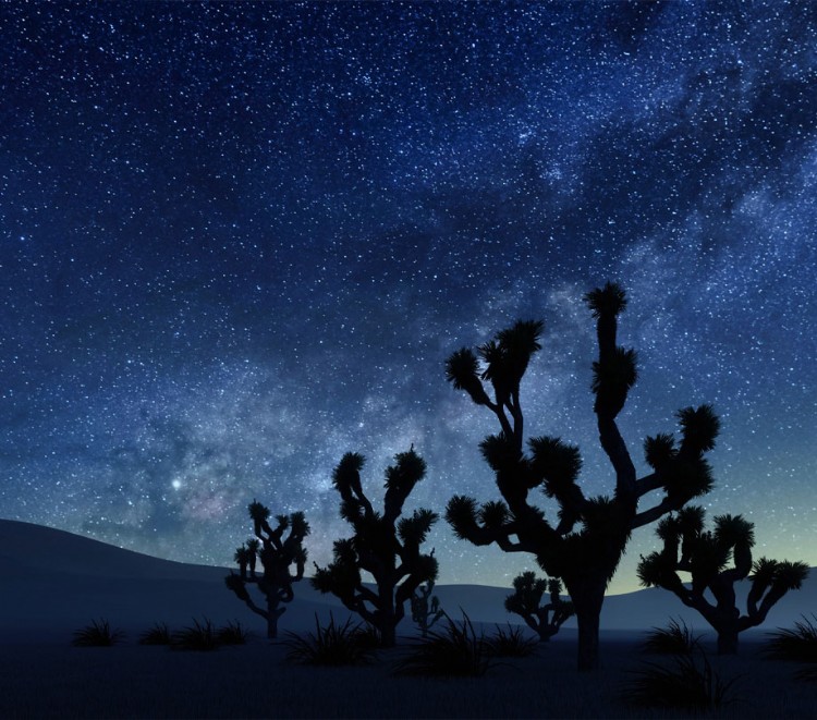 Visit the Vera C Rubin Observatory