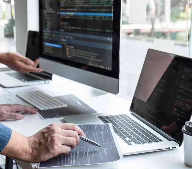 Meet the people coding a more sustainable world