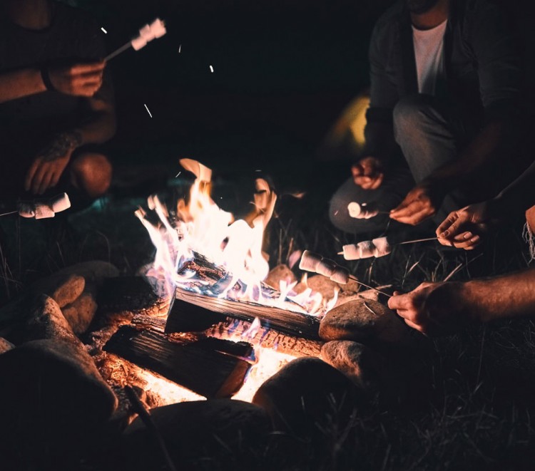 Meteors and smores at Holland State Park