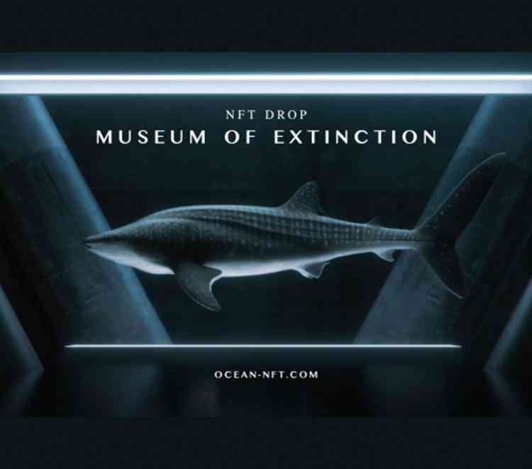 NFT collection raises funds for environmental initiatives