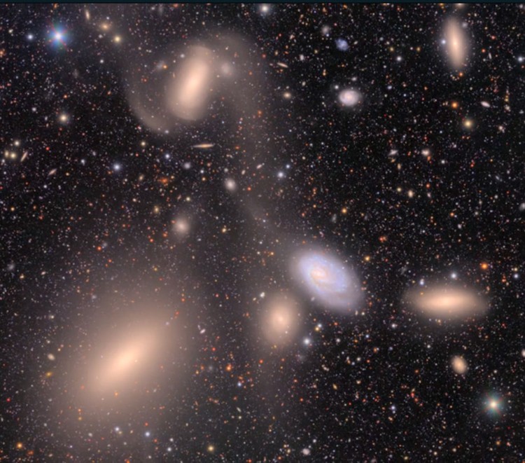 NSF-DOE Rubin first look