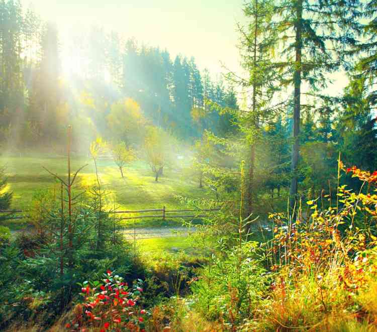 National Geographic just updated their app