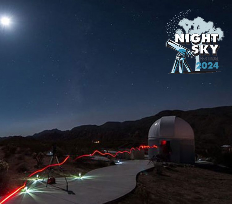 Night Sky Festival in Joshua Tree National Park