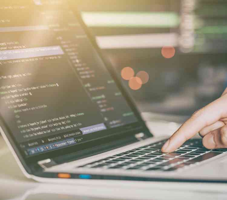 SDK runtime within the Google Privacy Sandbox