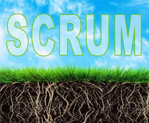 Beyond Scaling Agile  Going Back to the Basics