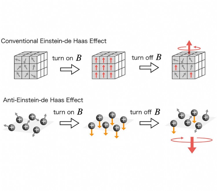 Strong magnetic fields flip angular momentum dynamics