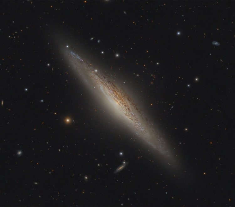 NGC 2683 galaxy astrophoto from the TEC APO200FL telescope and QHY268